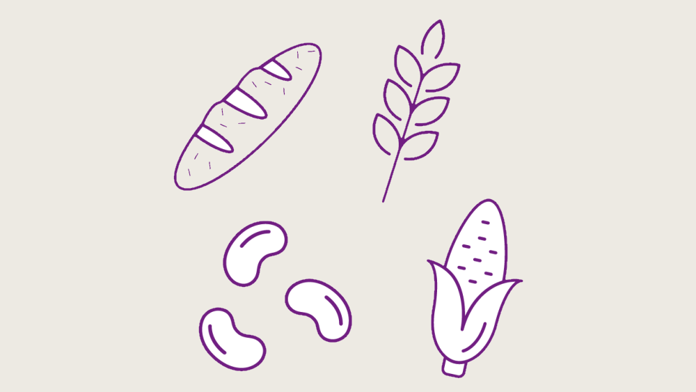 illustration mauve pain de blé entier, céréales de blé entier et légumineuses